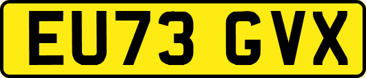 EU73GVX