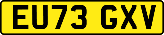 EU73GXV