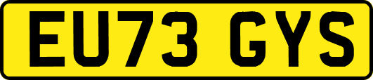 EU73GYS