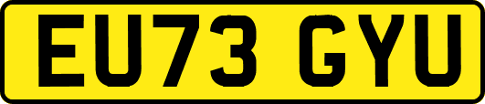 EU73GYU