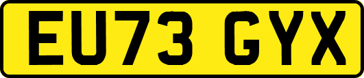 EU73GYX