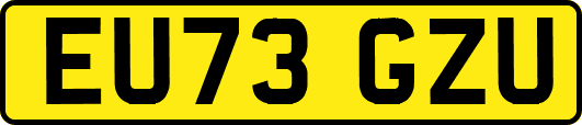 EU73GZU