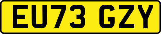 EU73GZY