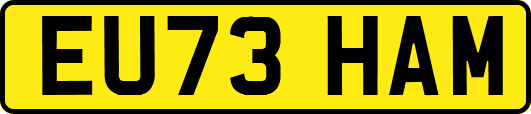 EU73HAM