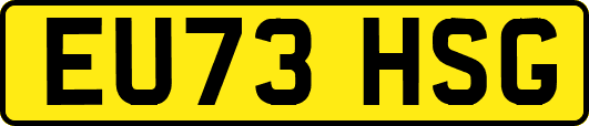 EU73HSG