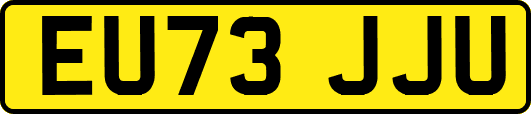 EU73JJU