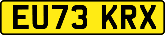 EU73KRX