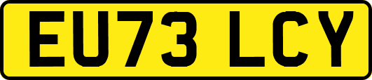 EU73LCY