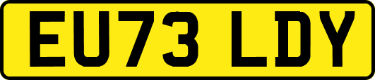 EU73LDY