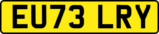 EU73LRY