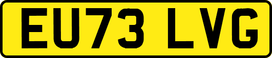 EU73LVG