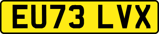 EU73LVX