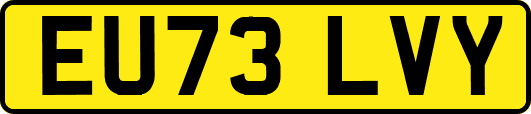 EU73LVY