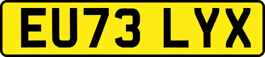 EU73LYX