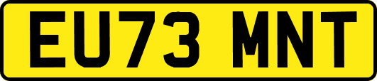 EU73MNT