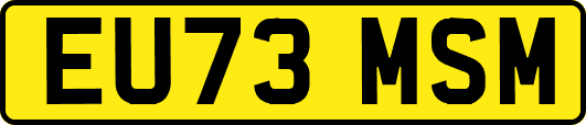 EU73MSM