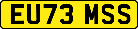 EU73MSS