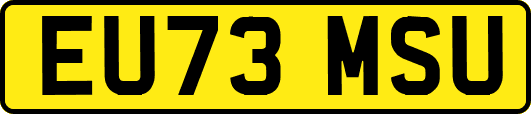 EU73MSU