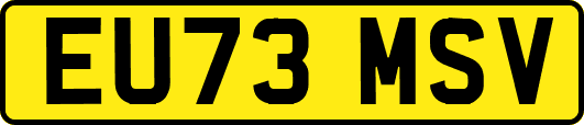 EU73MSV