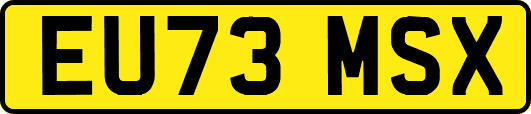 EU73MSX