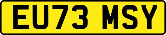EU73MSY