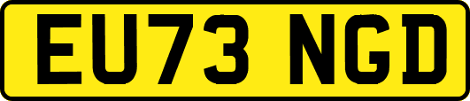 EU73NGD