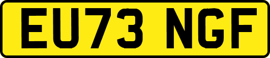 EU73NGF