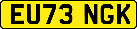 EU73NGK