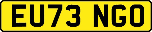 EU73NGO