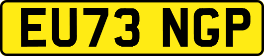 EU73NGP