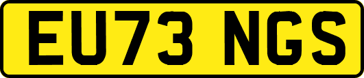 EU73NGS