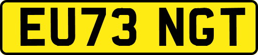 EU73NGT