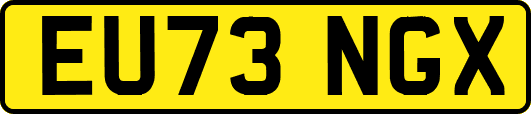 EU73NGX