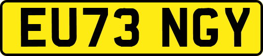 EU73NGY