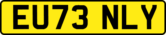 EU73NLY
