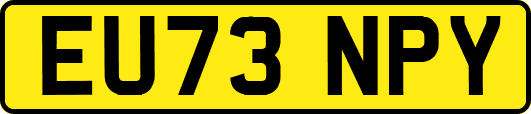 EU73NPY