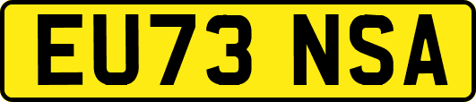 EU73NSA