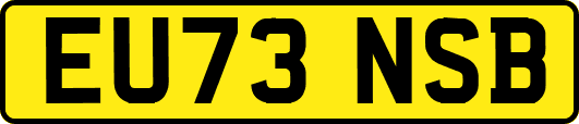 EU73NSB