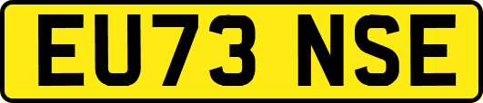 EU73NSE