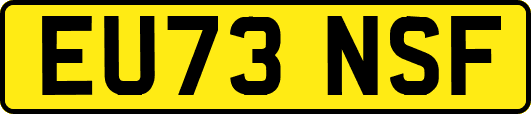 EU73NSF
