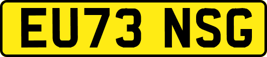 EU73NSG
