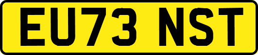 EU73NST