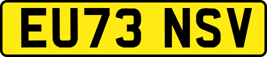 EU73NSV