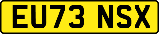 EU73NSX