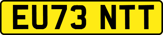 EU73NTT