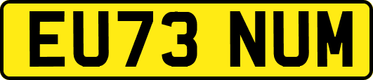 EU73NUM