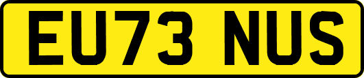 EU73NUS