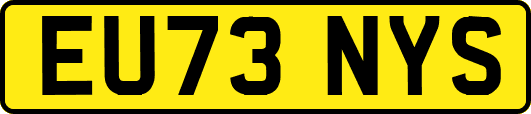 EU73NYS