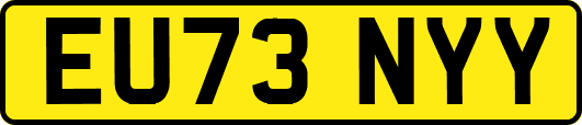 EU73NYY