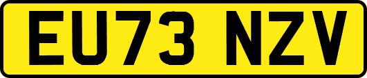 EU73NZV